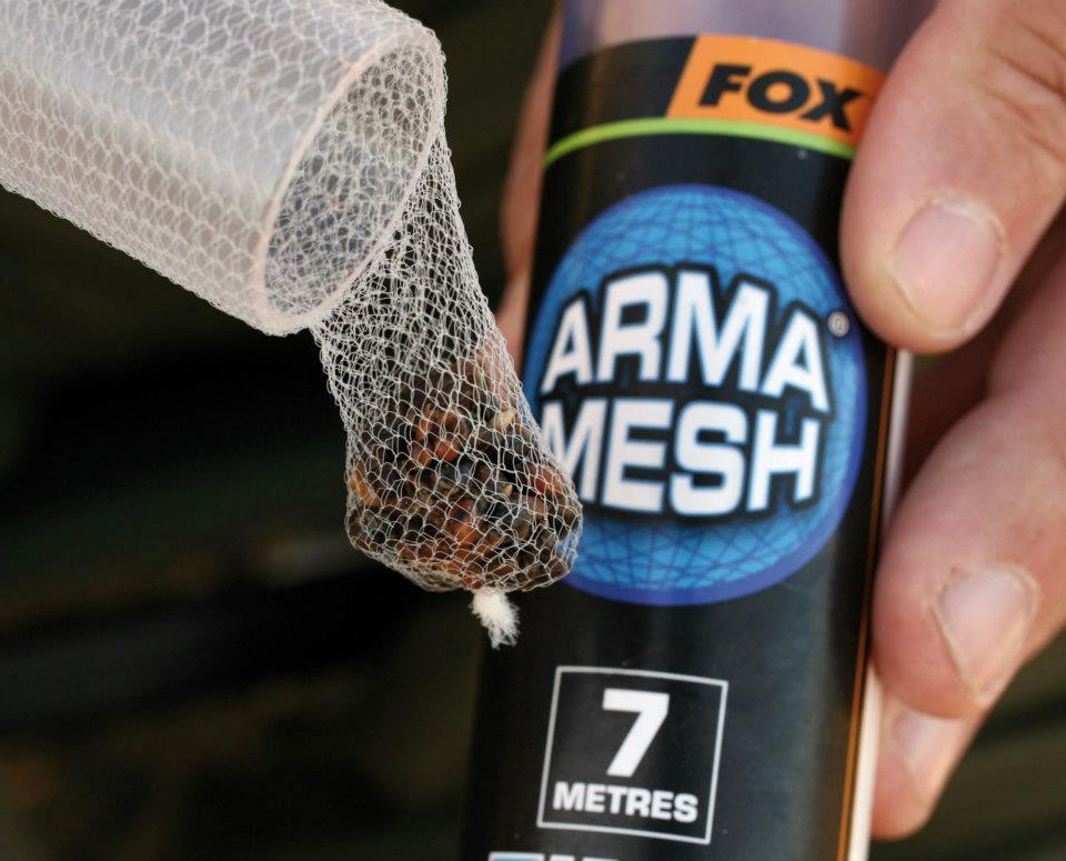 FOX - 4176593239383909970821062853248n.jpg